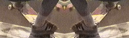 marcus