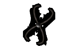 x