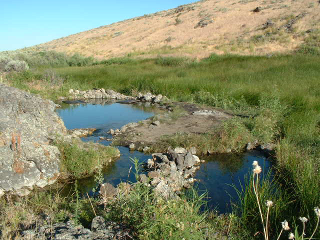 hot springs