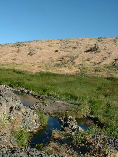 hot springs