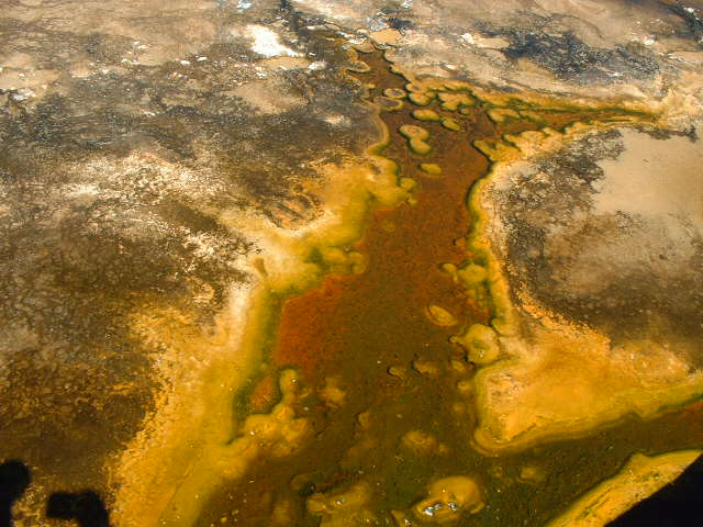 yellowstone