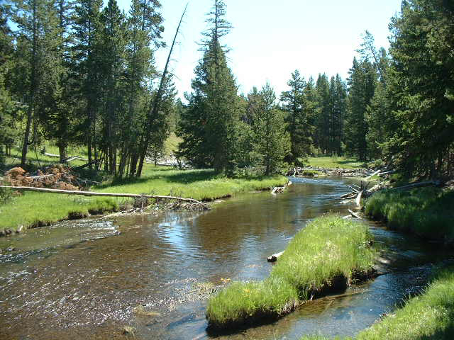 yellowstone