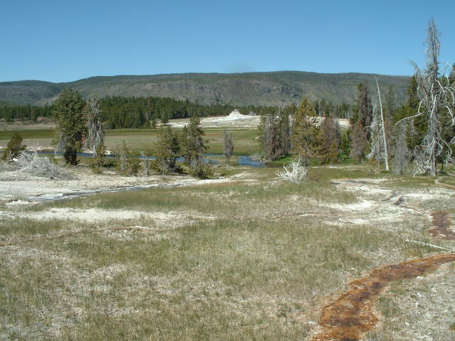 yellowstone