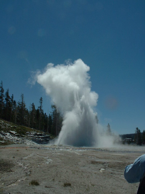 yellowstone