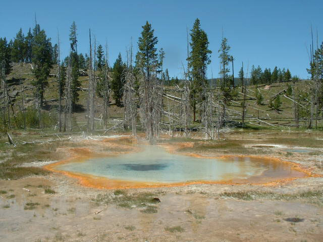 yellowstone