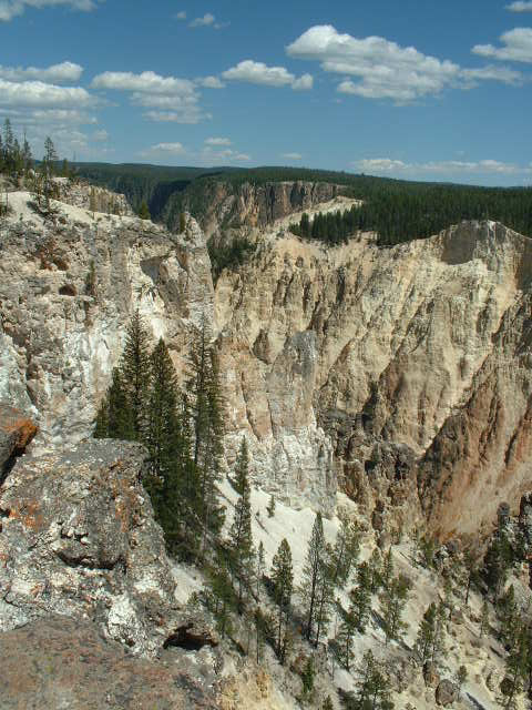 yellowstone