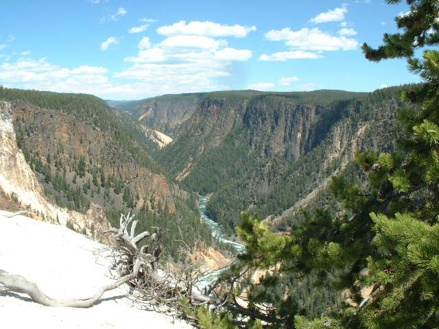yellowstone
