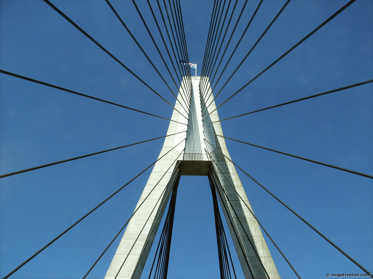 the bridge under