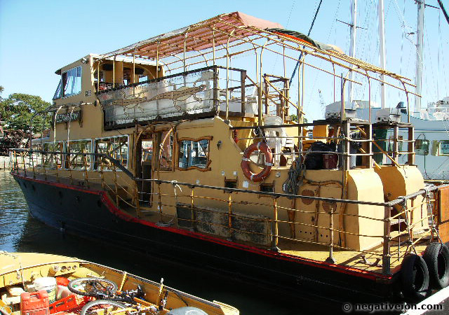 bamboo