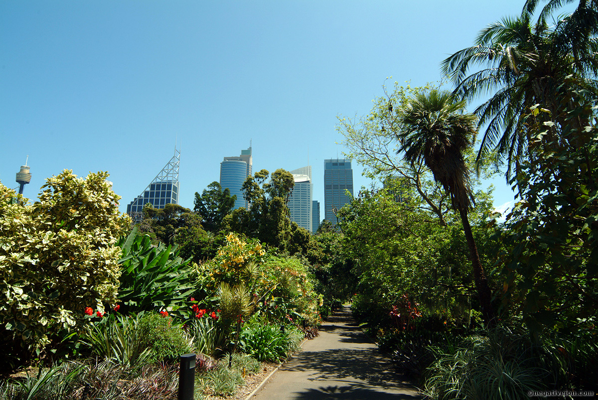 city vue