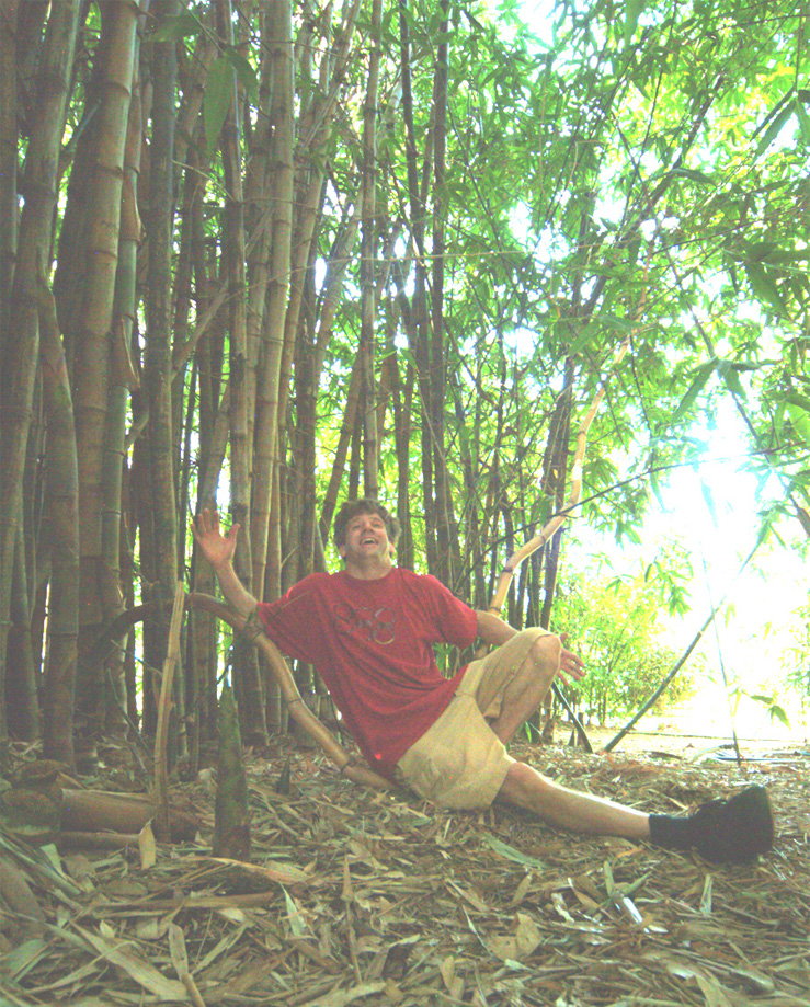 me and bamboo