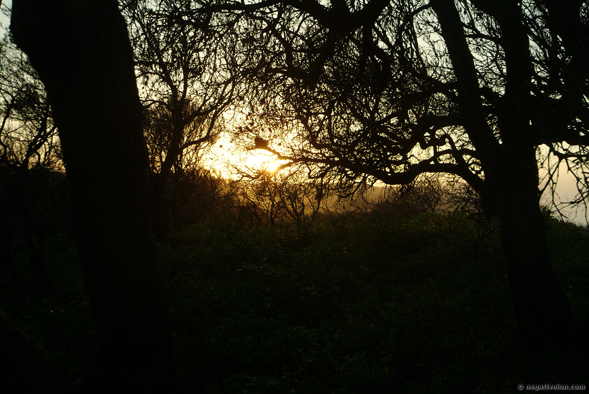 sunrise