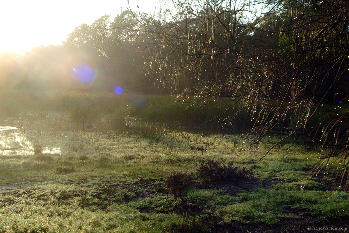 sunrise