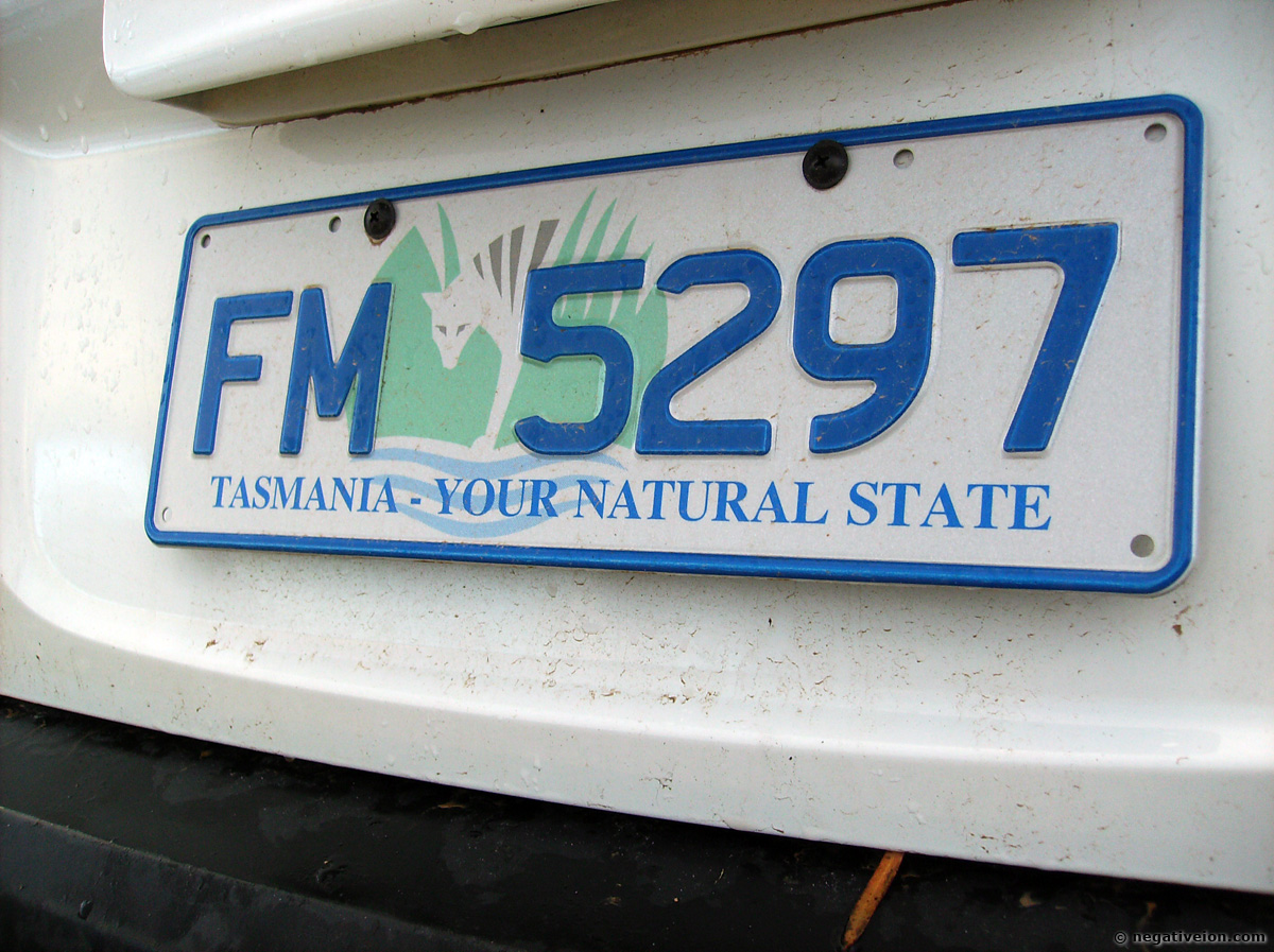 taz plate