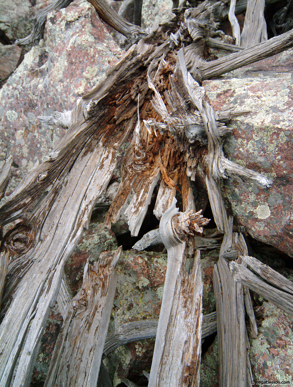 knot