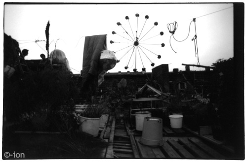 feris wheel