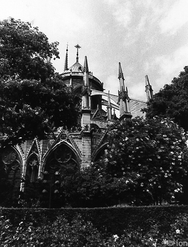 notre dame