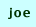 joe