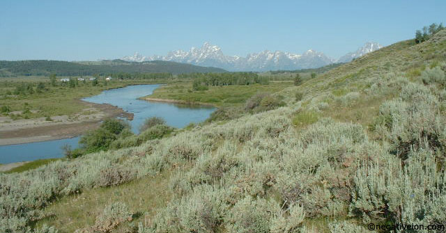 tetons