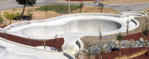 bowl