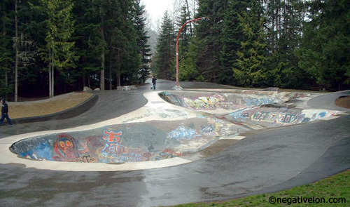 whistler snake run