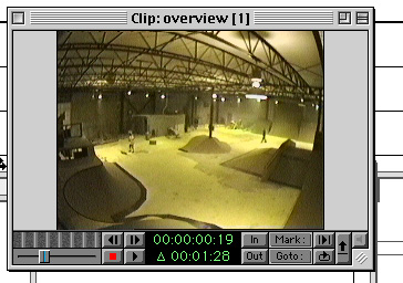 spacious freedom gobig style park