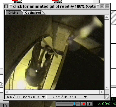 goin over fsgrabcanttellif reed boned transfer