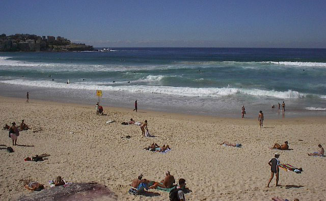 bondi surf